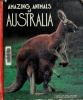 Amazing_animals_of_Australia