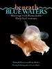Beneath_blue_waters