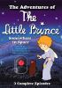 The_adventures_of_the_little_prince