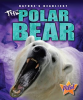 The_polar_bear
